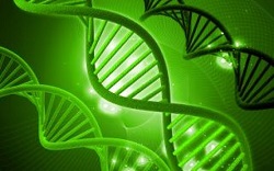 Voor- en nadelen van een landelijke DNA-databank