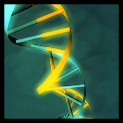 Voorwaarden voor het uitvoeren van een grootschalig DNA verwantschapsonderzoek